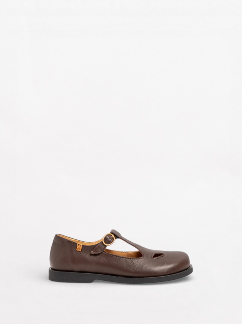 Arenisca N5873